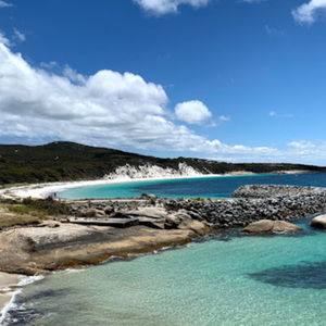 Meet your Posher, Andi